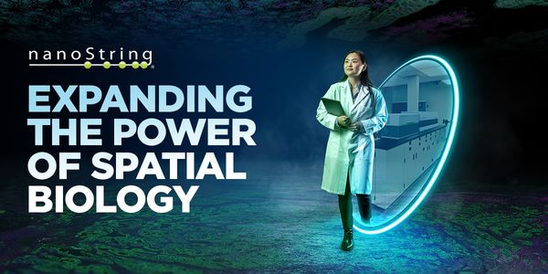 Immune Secrets of the Lymph Node Revealed by Spatial Genomics