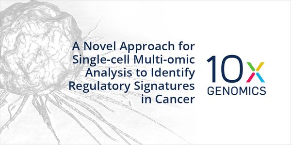 A Novel Approach for Single-cell Multi-omic Analysis to Identify Regulatory Signatures in Cancer