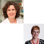 Signatures of protective NK cell responses