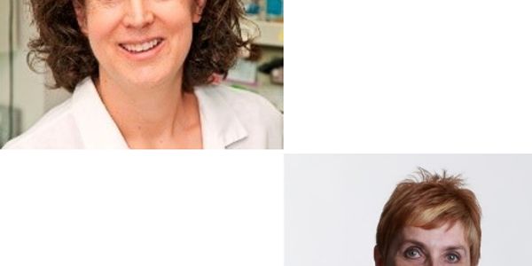 Signatures of protective NK cell responses