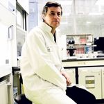 Setting Up Next-Generation Sequencing for the Needs of Routine Molecular Diagnostics With a Focus on the Suitability of the GeneReader NGS System for Lung Cancer Patients