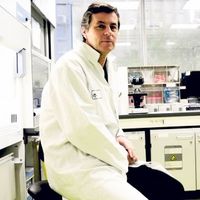 Setting Up Next-Generation Sequencing for the Needs of Routine Molecular Diagnostics With a Focus on the Suitability of the GeneReader NGS System for Lung Cancer Patients