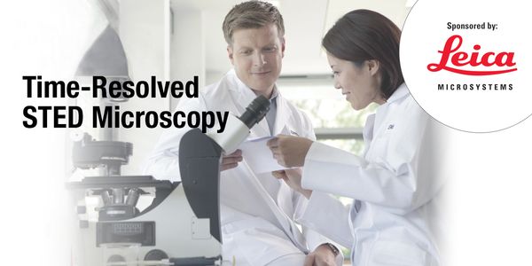 Time-Resolved STED Microscopy