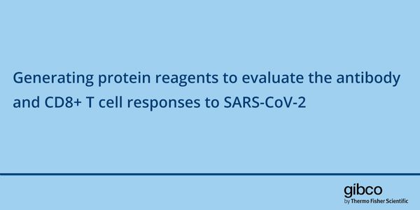Generating protein reagents to evaluate the antibody and CD8+ T cell responses to SARS-CoV-2