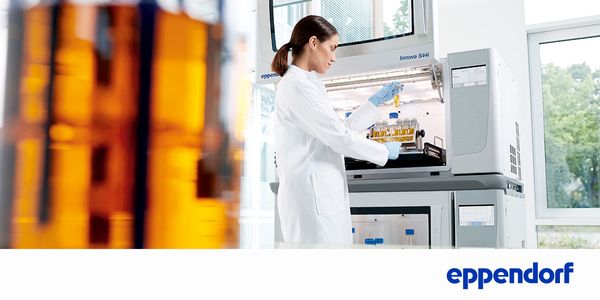 Optimize your bioprocess - From shaker to bioreactor