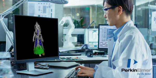 Better Data, Fewer Mice: micro-CT Imaging Breathes New Life into your Lung Research