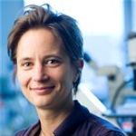 Optimizing retinal cell differentiation of human pluripotent stem cells for large-scale disease modeling.