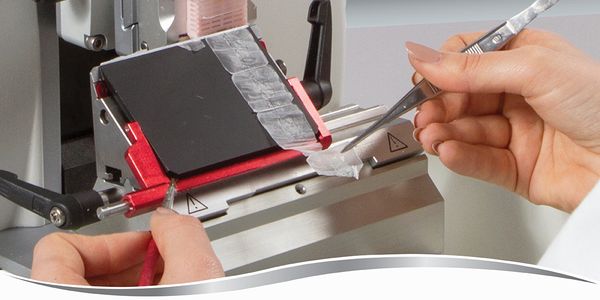 Tips & Tricks to Better Histology in Tissue Based Research (Part 2)  - A review of key factors influencing the quality of sections and stains