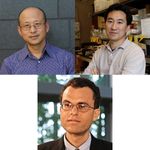 PANEL: Anatomical Characterization of Neuron Cell Types in the Mouse Brain