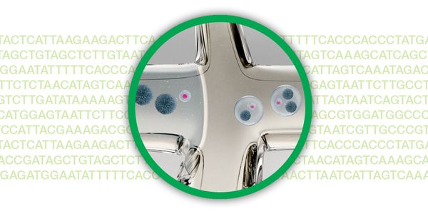 From Transcriptomes to Epigenomes: Introduction to single-cell RNA-seq and single-cell ATAC-seq