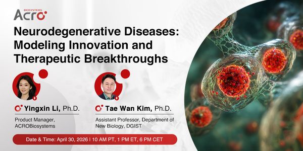 Neurodegenerative Diseases: Modeling Innovation and Therapeutic Breakthroughs