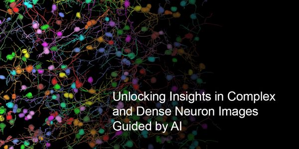 Unlocking Insights in Complex and Dense Neuron Images Guided by AI