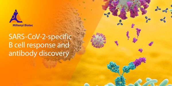 SARS-CoV-2 specific B cell detection and therapeutic antibody discovery