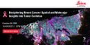 Deciphering Breast Cancer: Spatial and Molecular Insights into Tumor Evolution