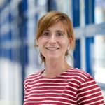 Pluripotent stem cells to explore mechanisms and treatments of neuromuscular diseases