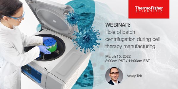 Role of Batch Centrifugation during Cell Therapy Manufacturing