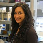 WEBINAR: Proteome Profiling of the Tumor Microenvironment: Role of Human Primary Fibroblasts Derived Exosomes in Oral Cancer Progression