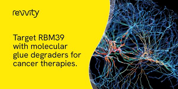 Development of an assay- and screening-platform to study molecular glue degraders