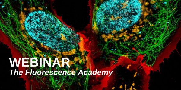 Practical considerations for fluorescent cell staining and microscopy in cancer cell biology research