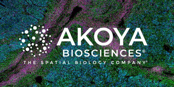 Single-Cell, Spatial Phenotyping: Fueling the Next Wave of Discovery Biology