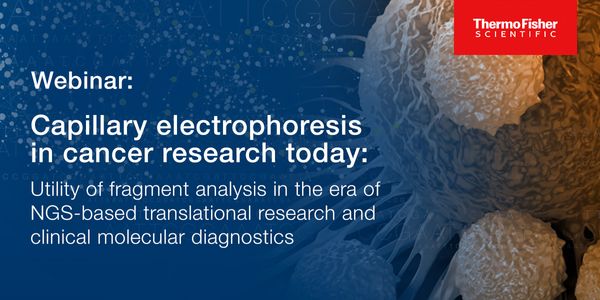 Capillary electrophoresis in cancer research today:
