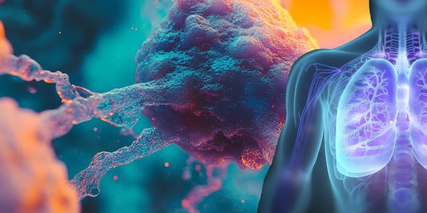 From pigs to patients: The omics edge in xenotransplantation