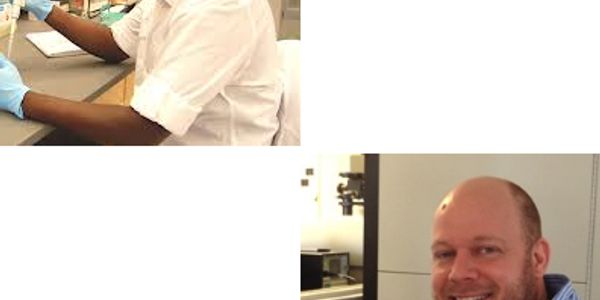 Advances in modeling human diseases using induced pluripotent stem cell-derived cellular models