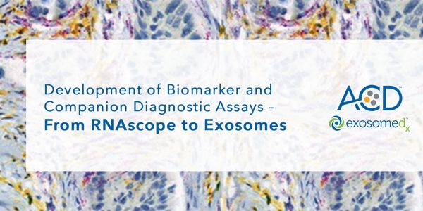 Companion Diagnostic and Biomarker Assay Development for Interrogation of Liquid and Solid Tumor Biopsies - From RNAscope to Exosomes