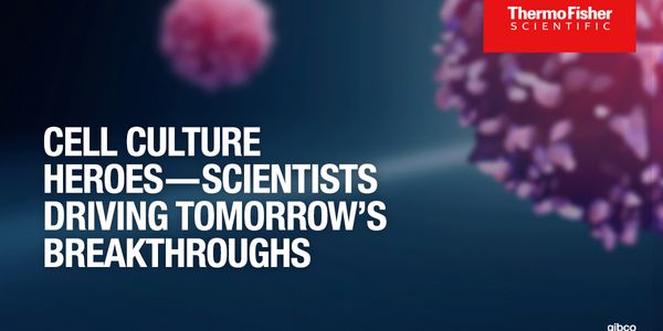 Gibco Cell Culture Heroes - Guy Kunzmann - Investigating the conditionally essential role of protein UFMylation in proliferating human cells