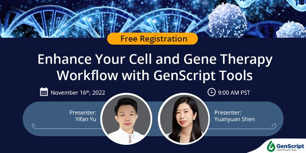 Enhance Your Cell and Gene Therapy Workflow with GenScript Tools