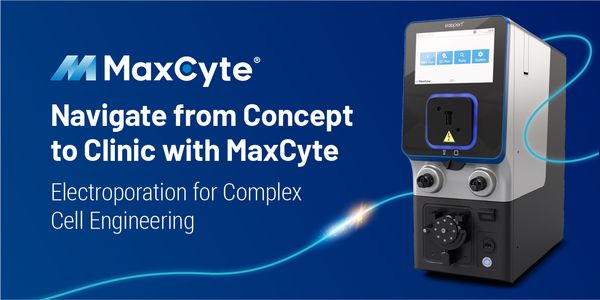 Memory-rich CAR-T cell engineering by piggyBac transposon system for solid malignancies
