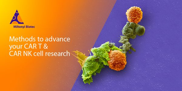 Methods to advance your CAR T & CAR NK cell research