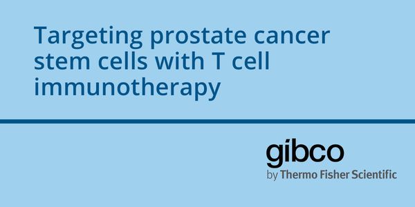 Targeting prostate cancer stem cells with T cell immunotherapy