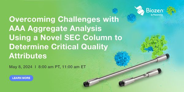 Overcoming Challenges with AAA Aggregate Analysis Using a Novel SEC Column to Determine Critical Quality Attributes