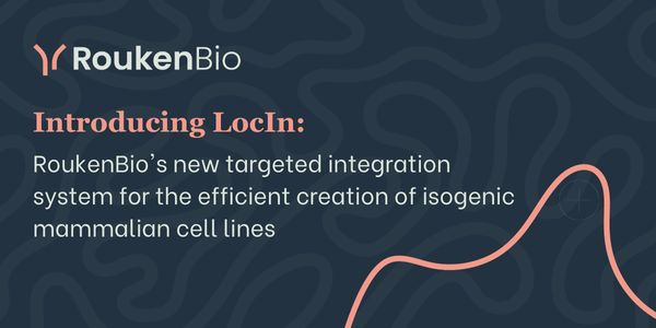 Introducing LocIn: RoukenBio's new targeted integration system for the efficient creation of isogenic mammalian cell lines