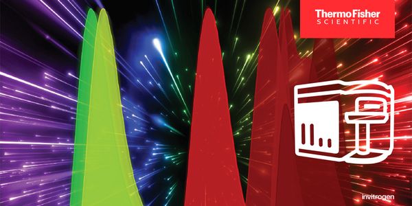 Tilting against windmills: Clarity in spectral panel design without losing the battle for biological resolution