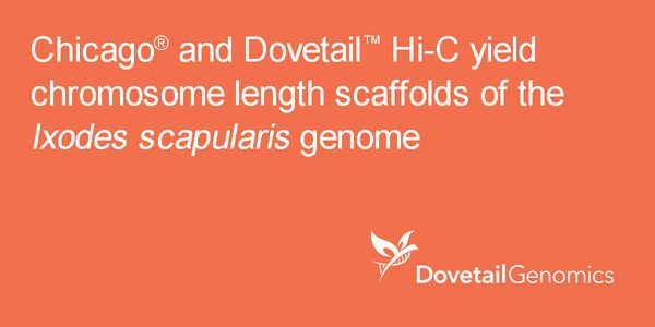 Chicago® and Dovetail™ Hi-C yield chromosome length scaffolds of the Ixodes scapularis genome