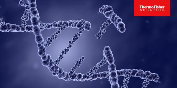 Exploring the Possibilities of Loop-mediated Isothermal Amplification