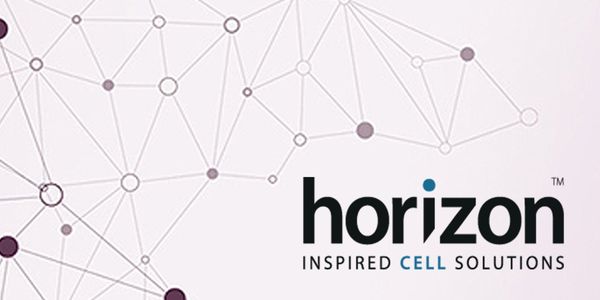 Cell line engineering with CRISPR-Cas9 - Tips and tricks to maximize success