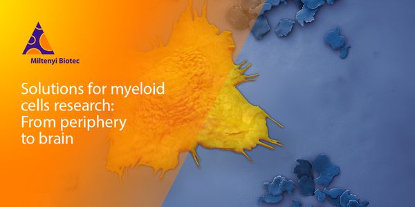 Solutions for myeloid cell research - from periphery to brain