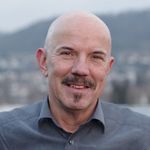 3D-Micro Tissues in Translational Toxicology and Disease Modelling