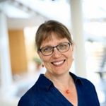 How Digital Holographic Microscopy Can Be Used to Explore Cell Movements