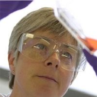 Real-time antibody internalization assays using live-cell analysis