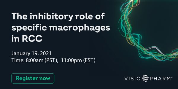 The inhibitory role of specific macrophages in RCC