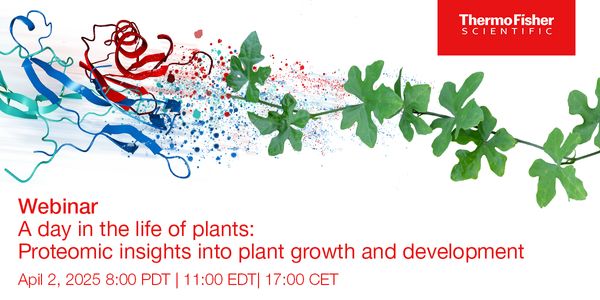 A day in the life of plants: Proteomic insights into plant growth and development