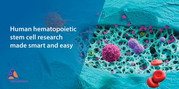 Human hematopoietic stem cell research made smart and easy