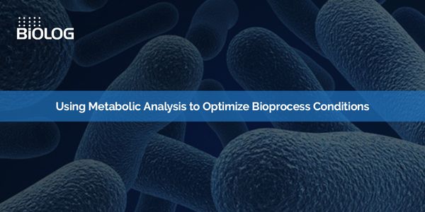 Using metabolic analysis to optimize bioprocess conditions