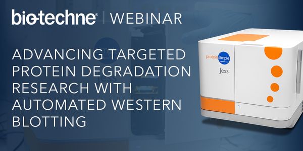 Advancing Targeted Protein Degradation Research with Automated Western Blotting