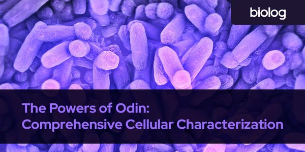The Powers of Odin:  Comprehensive Cellular Characterization