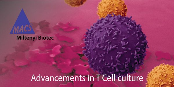 T Cells 101: Advancements in T Cell Culture